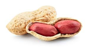 تصویر 3 از بادام زمینی آستانه پوست‌ کنده مناسب استفاده در شیرینی‌ پزی